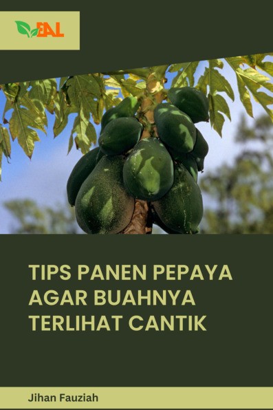 Tips Panen Pepaya Agar Buahnya Terlihat Cantik